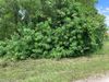 323 NE 2nd Pl photo
